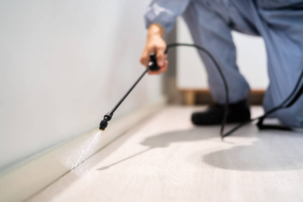 Professional exterminator conducting IPM assessment in Buchanan