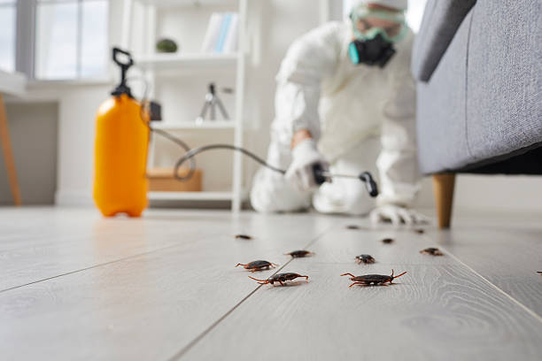 Post-Treatment Bed Bug Interceptor Monitoring in Buchanan