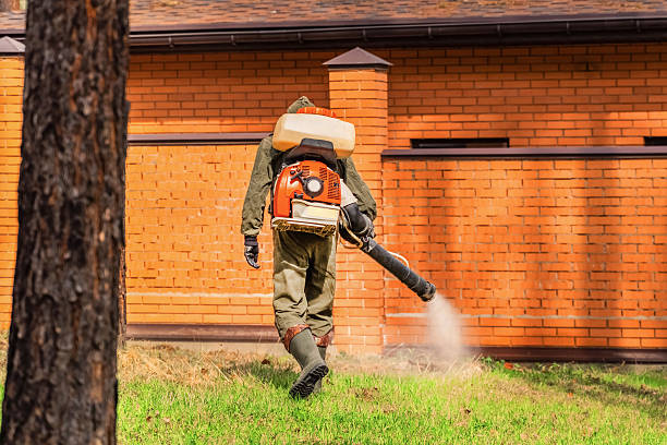 Bed Bug Clearance Verification and Documentation in Buchanan
